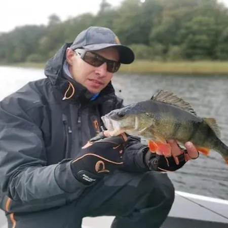 펜션 In By Rosnowskie Rosnowo